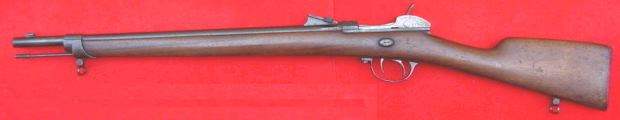 Werder 1869 (carabine)